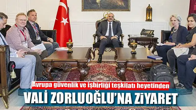 Avrupa güvenlik ve işbirliği teşkilatı heyetinden Vali Zorluoğlu'na ziyaret