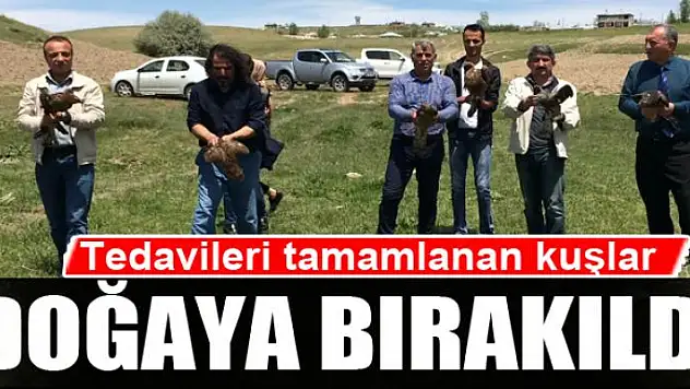 Tedavileri tamamlanan kuşlar doğaya bırakıldı 
