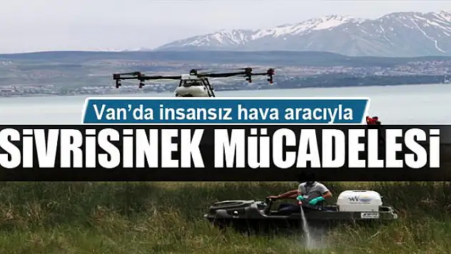 Van'da insansız hava aracıyla sivrisinek mücadelesi