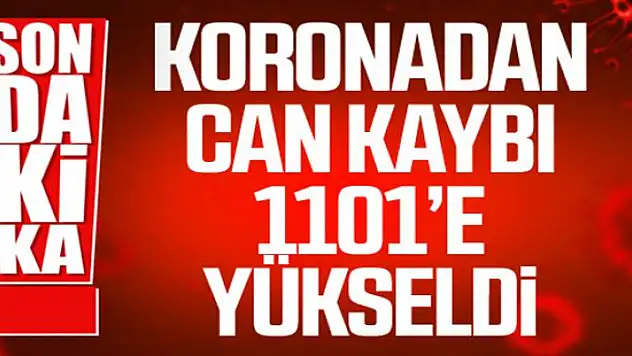 Türkiye'de korona virüsten hayatını kaybedenlerin sayısı bin 101'e yükseldi