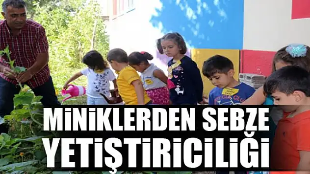 Miniklerden sebze yetiştiriciliği
