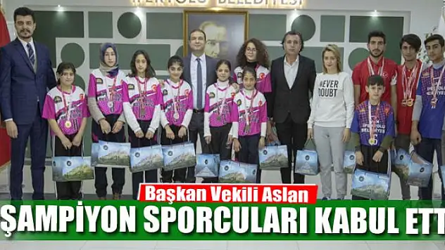 Başkan Vekili Aslan, şampiyon sporcuları kabul etti