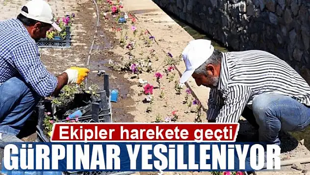  Gürpınar'da yeşillendirme çalışması