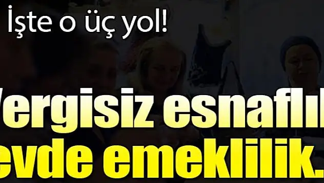 Kadınlara vergisiz esnaflık, evde emeklilik imkanı