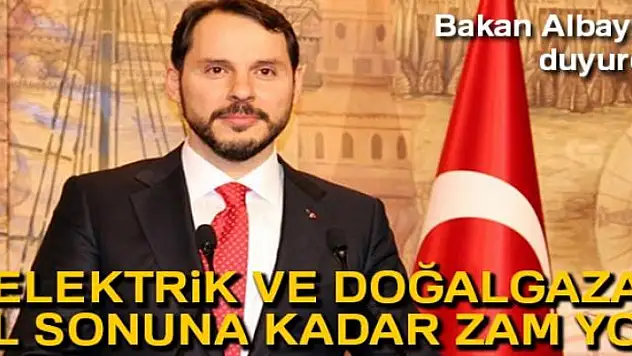 Hazine ve Maliye Bakanı Berat Albayrak: 'Normalleşmenin sağlanacağı sürece giriyoruz'