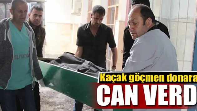 Kaçak göçmen donarak öldü