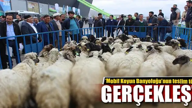 Van'da 'Mobil Koyun Banyoluğu' dağıtımı 