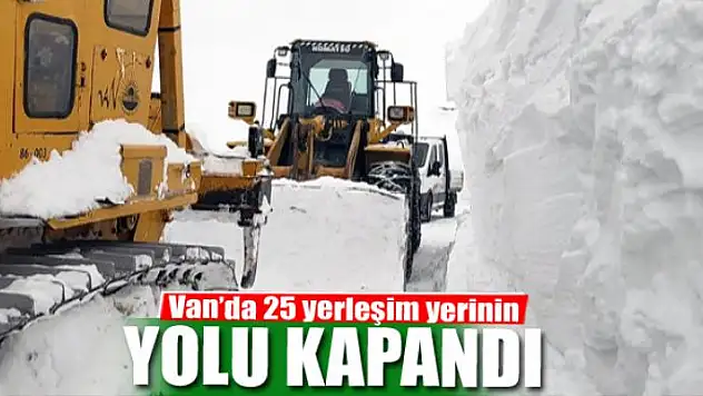 Van'da 25 yerleşim yerinin yolu kapandı