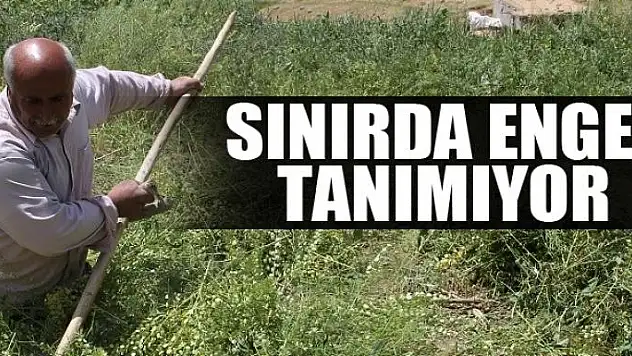 Sınırda engel tanımıyor