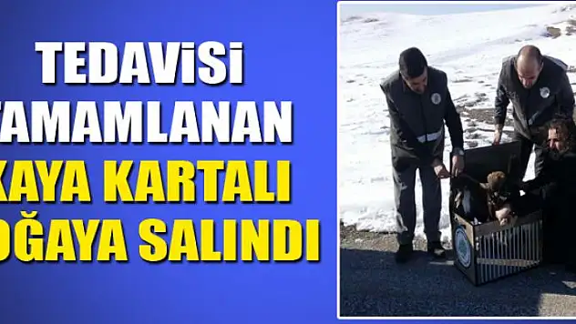 TEDAVİSİ TAMAMLANAN KAYA KARTALI DOĞAYA SALINDI