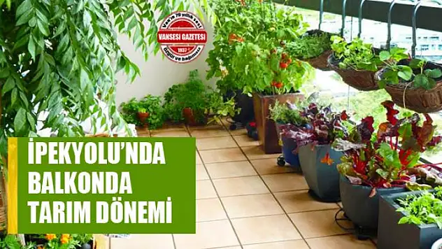 İpekyolu'nda balkonda tarım dönemi