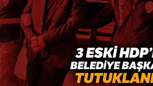 Mardin'de görevden alınan 3 eski HDP'li belediye başkanı tutuklandı