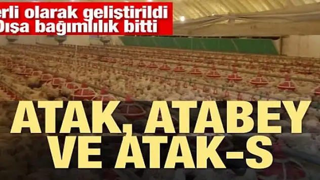 Yerli olarak geliştirildi! Dışa bağımlılık bitti