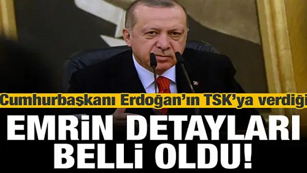 İşte Erdoğan'ın TSK'ya verdiği emrin detayları