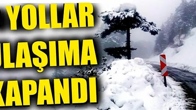 Van'da 216 yerleşim yerinin yolu ulaşıma kapandı