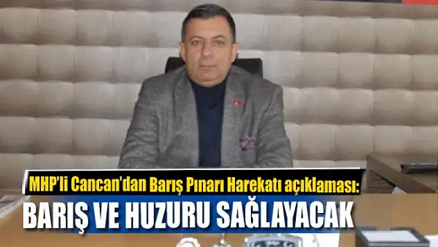 MHP'li Cancan: 'Harekat, bölgede barışı ve huzuru sağlayacak'