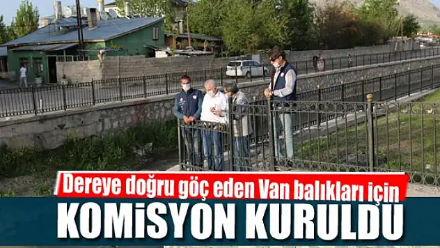 Dereye doğru göç eden Van balıkları için komisyon kuruldu