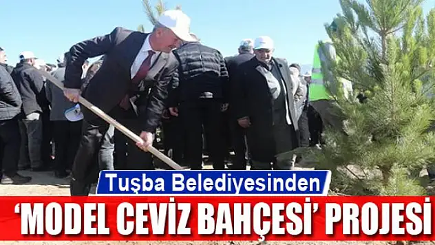 Tuşba Belediyesinden 'Model Ceviz Bahçesi' Projesi