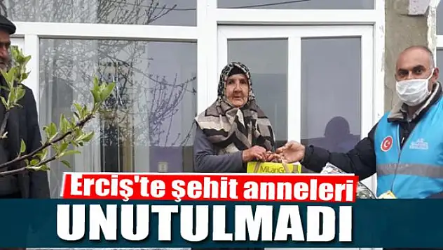 Erciş'te şehit anneleri unutulmadı