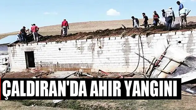Çaldıran'da ahır yangını