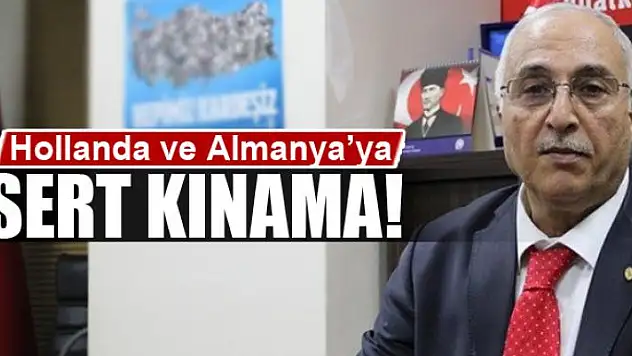 Başkan Karael'den Hollanda ve Almanya'ya kınama