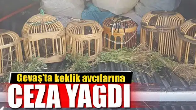 Gevaş ilçesinde keklik avcılarına ceza 