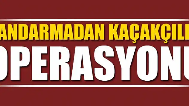 Saray'da 87 kaçak şahıs yakalandı
