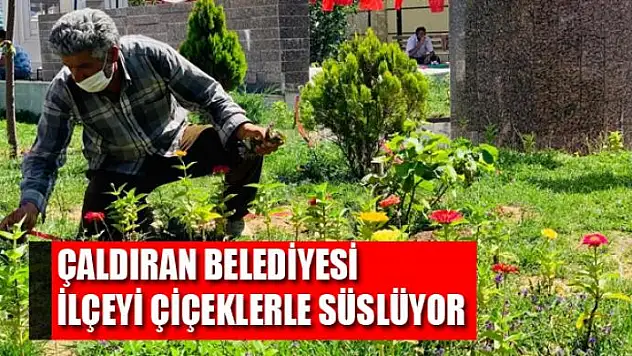 Çaldıran Belediyesi ilçeyi çiçeklerle süslüyor