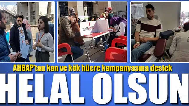 AHBAP'ın kan ve kök hücre kampanyasına Van'dan yoğun destek