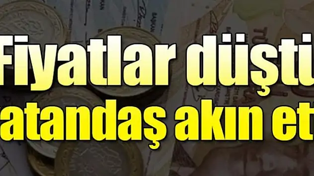 Balık fiyatları düştü, satışlar arttı