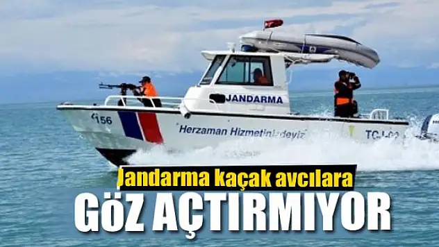 Jandarma kaçak avcılara göz açtırmıyor 