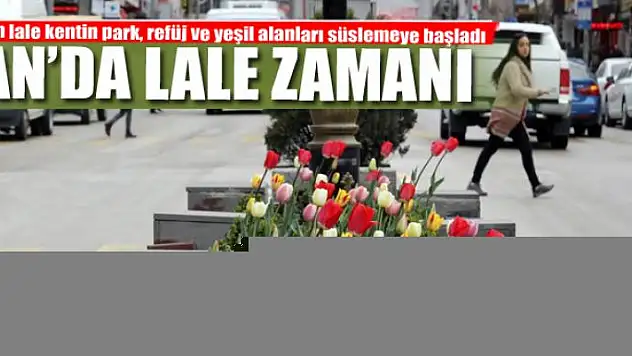 VAN'DA LALE ZAMANI