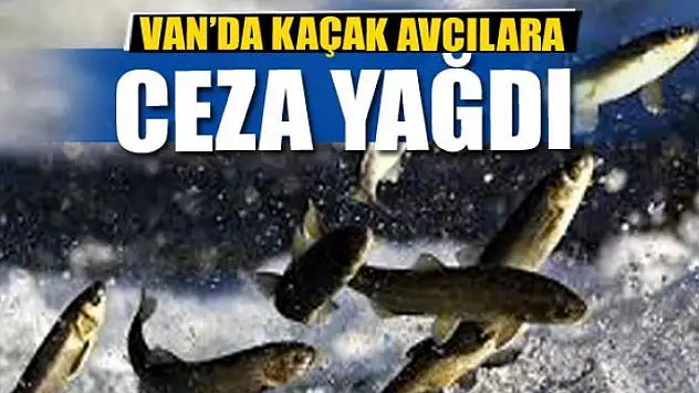 VAN'DA KAÇAK AVCILARA CEZA YAĞDI