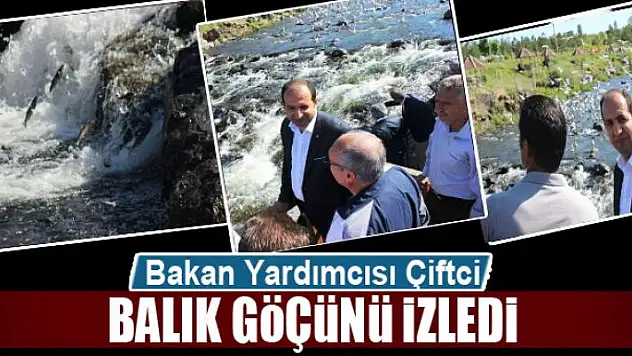 Bakan Yardımcısı Çiftci balık göçünü izledi