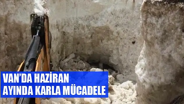 Van'da Haziran ayında karla mücadele
