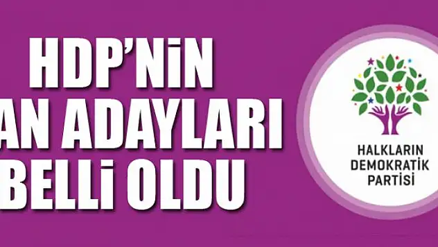 HDP'nin Van adayları belli oldu