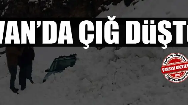 Van'da çığ düştü