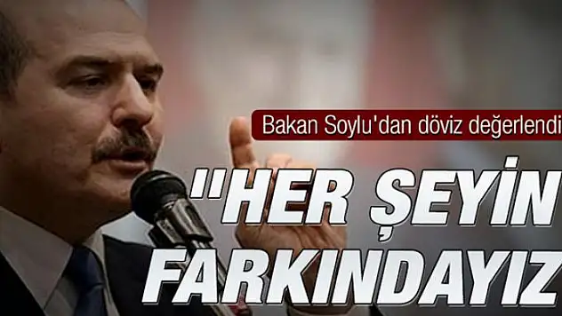 Bakan Soylu'dan döviz değerlendirmesi