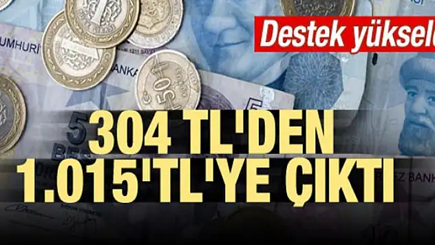 Destek yükseldi! 304 TL'den 1.015'TL'ye çıktı