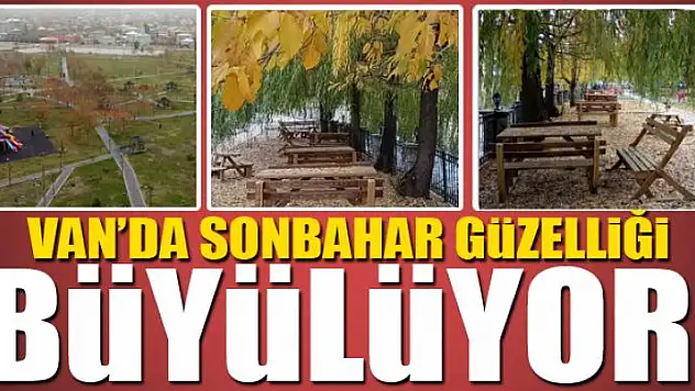 Van'da sonbahar güzelliği büyülüyor 
