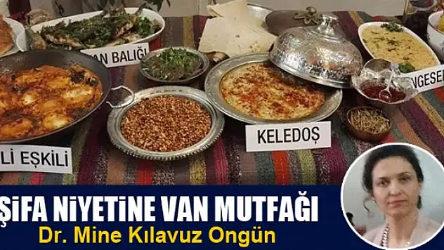 ŞİFA NİYETİNE VAN MUTFAĞI