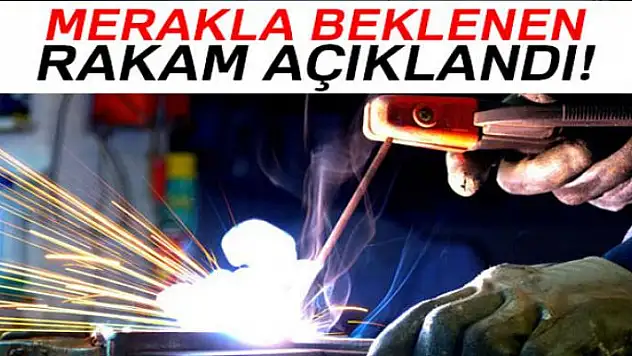 Aralık ayı işsizlik rakamları açıklandı