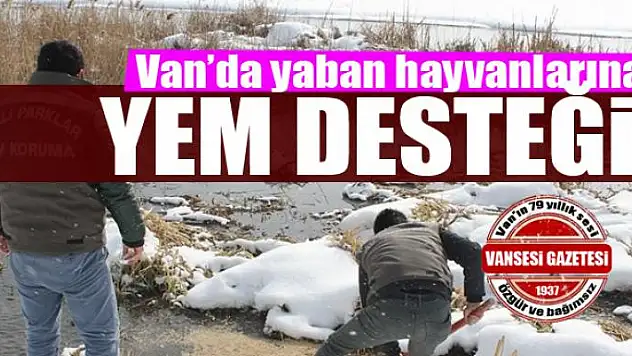 Van'da yaban hayvanlarına yem desteği