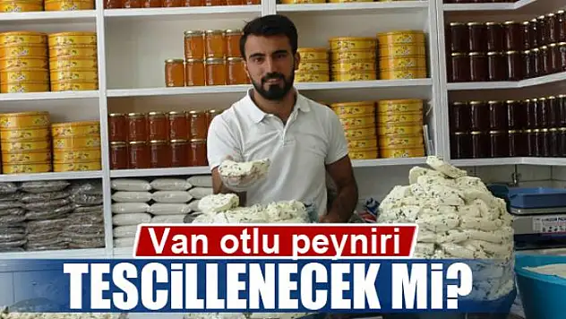 Van otlu peyniri için patent çalışması 