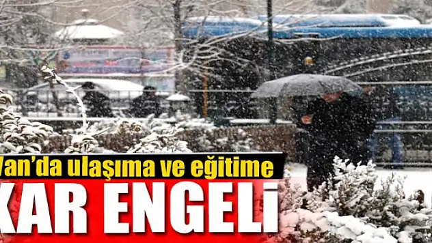 Van'da ulaşıma ve eğitime kar engeli