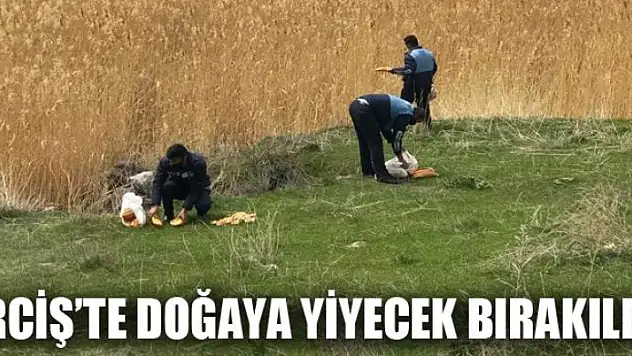 Erciş'te doğaya yiyecek bırakıldı