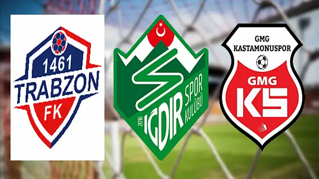 2. Lig'de 3 takım PFDK'ya sevk edildi