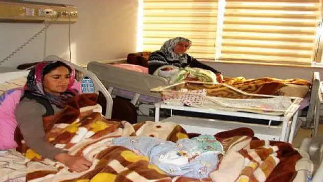 2012 MARKALI BEBEKLER