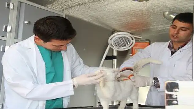 YYÜ'YE HAYVAN AMBÜLANSI