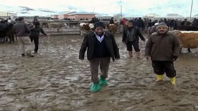 HAYVAN PAZARINDA ÇAMUR REZALETİ